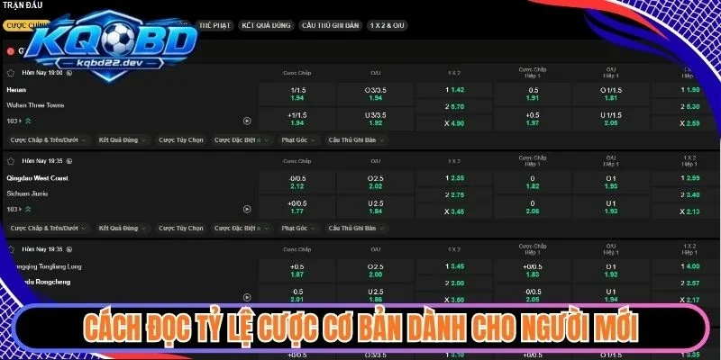 Cách đọc tỷ lệ cược cơ bản dành cho người mới