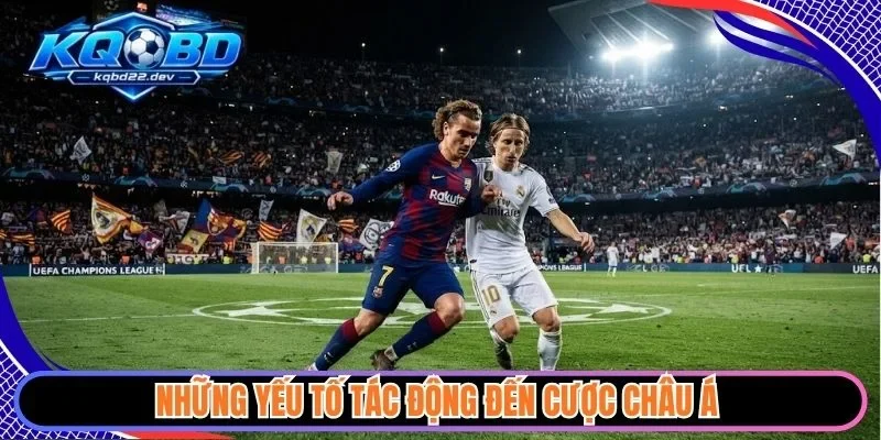 Những yếu tố tác động đến cược châu Á 